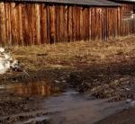 <Фотография до<br>